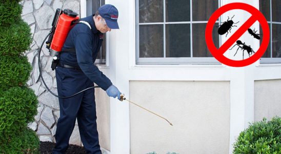 Evka 7 Gümüşkurt İlaçlama böcek ilaçlama ve haşere kontrolü — ilaclama-tr.com